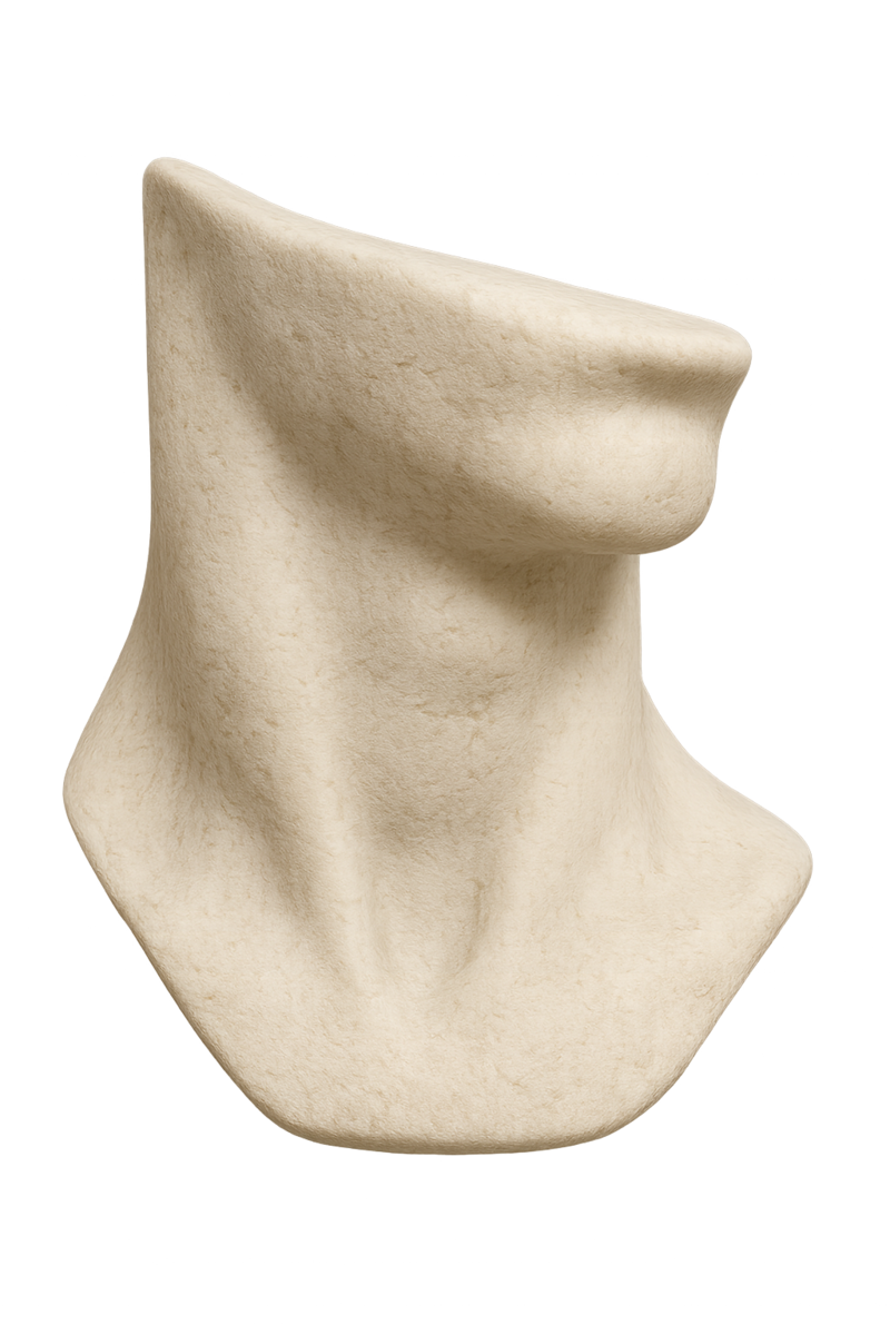 Hals - Anatomische Skulptur